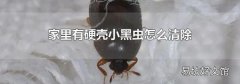 家里有硬壳小黑虫怎么清除