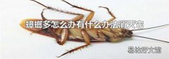 蟑螂多怎么办有什么办法消灭它