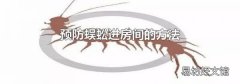 预防蜈蚣进房间的方法