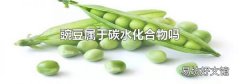 豌豆属于碳水化合物吗
