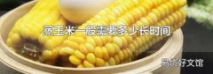 蒸玉米一般需要多少长时间