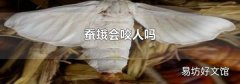 蚕蛾会咬人吗