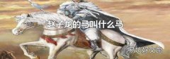 赵子龙的马叫什么马