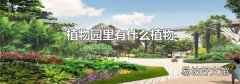 植物园里有什么植物