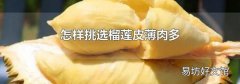 怎样挑选榴莲皮薄肉多