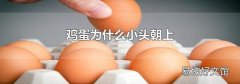 鸡蛋为什么小头朝上