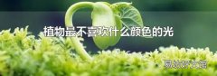 植物最不喜欢什么颜色的光