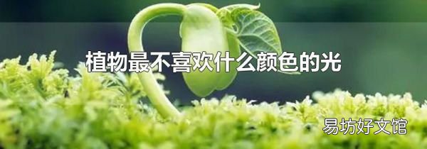 植物最不喜欢什么颜色的光
