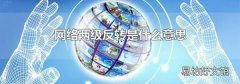 网络两级反转是什么意思