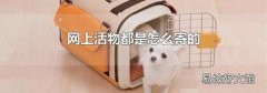 网上活物都是怎么寄的