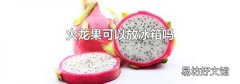 火龙果可以放冰箱吗
