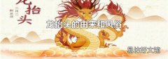 龙抬头的由来和风俗