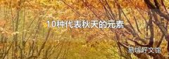 10种代表秋天的元素