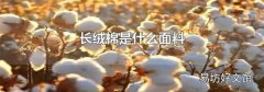 长绒棉是什么面料