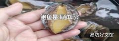 鲍鱼是海鲜吗?