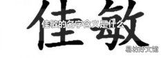 佳敏的名字含义是什么