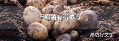 马铃薯有脂肪吗