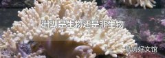 珊瑚是生物还是非生物