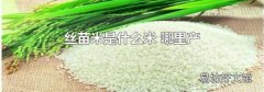 丝苗米是什么米 哪里产