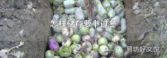 怎样储存萝卜过冬