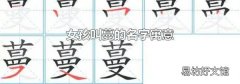 女孩叫蔓的名字寓意