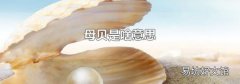 母贝是啥意思