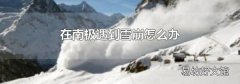 在南极遇到雪崩怎么办