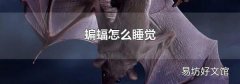 蝙蝠怎么睡觉