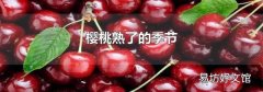 樱桃熟了的季节