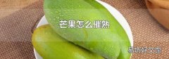 芒果怎么催熟