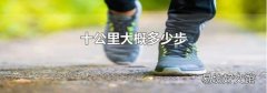 十公里大概多少步