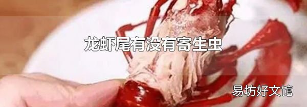 龙虾尾有没有寄生虫
