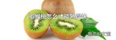 猕猴桃怎么才能熟得快