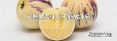 人参果为什么不能放冰箱
