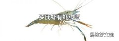 罗氏虾有虾线吗