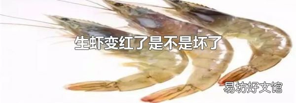 生虾变红了是不是坏了