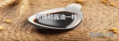 老抽和酱油一样吗