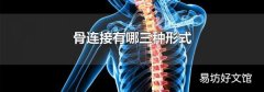 骨连接有哪三种形式