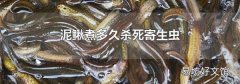 泥鳅煮多久杀死寄生虫