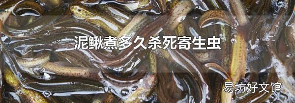 泥鳅煮多久杀死寄生虫