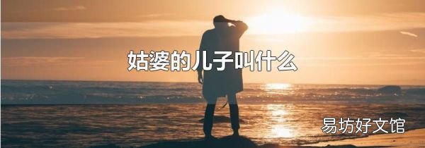 姑婆的儿子叫什么
