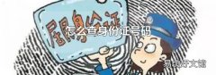 怎么查身份证号码