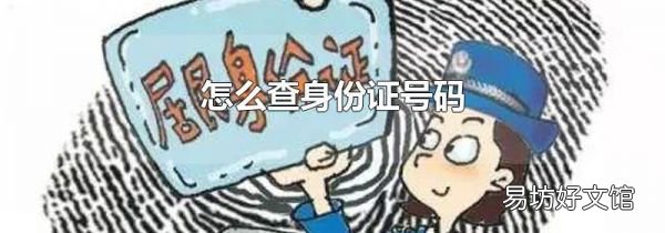 怎么查身份证号码