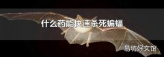 什么药能快速杀死蝙蝠