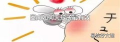 室内如何灭蚊子最有效