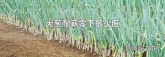 大葱耐寒零下多少度