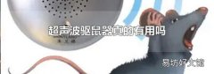 超声波驱鼠器真的有用吗