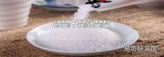 钠是不是就是盐