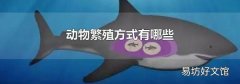 动物繁殖方式有哪些
