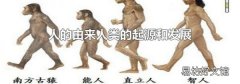 人的由来人类的起源和发展